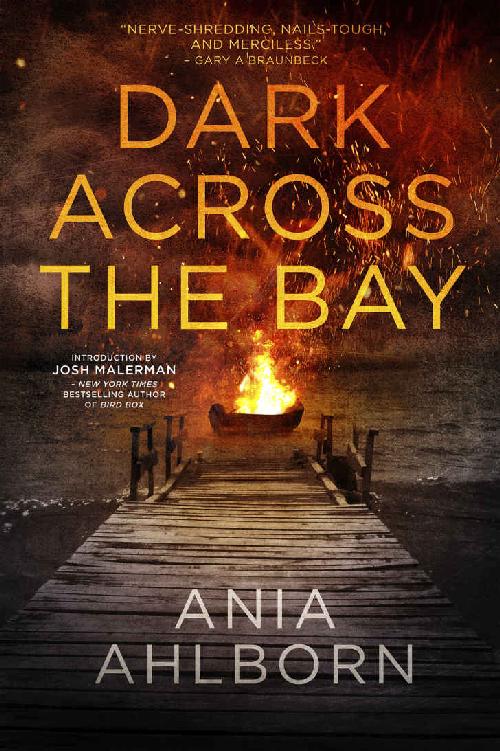 Dark Across the Bay